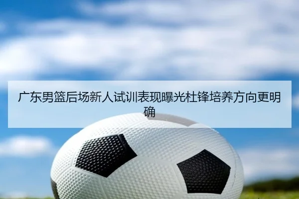 广东男篮后场新人试训表现曝光杜锋培养方向更明确